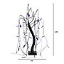 Nearly Natural Pre-Lit Halloween Artificial Black Spooky Spider Willow Tree, 2' (T5352)~#|#~7BEBB4A0-7D5D-44B3-A9C33C4E10386EB7_sc7