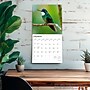 2026 BrownTrout Hummingbirds 12" x 12"  Monthly, Paper Cover, Hummingbirds (9798330703807)~#|#~7BED3859-4AD7-4A4C-BC796C1D8ACCCF78_sc7