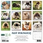 2027 Willow Creek Pekingese 11" x 12" Monthly Wall Calendar, Assorted Colors (61763)~#|#~7BF4BF8D-4D10-4628-A3042BE03AB6F78A_sc7