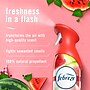 Febreze Air Mist Air Freshener Spray, Sweet Watermelon Vine Scent, 8.8 oz., 2/Pack (11577)~#|#~7C00AEE4-FF96-4914-8474A9A3015BC2D5_sc7