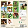 2027 BrownTrout Boxer Puppies 7" x 7" Monthly Wall Calendar, Assorted Colors (9798330709946)~#|#~7C021BB6-5E65-4DED-85D6A3D215068CED_sc7