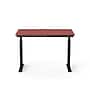 VersaDesk PowerLift 48"W Electric Rectangular Adjustable Standing Desk, Cherry/Black (PLSDR4830-BC-APP)~#|#~7C079C78-9319-4768-9DA7C843F9B02064_sc7