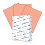 Hammermill Colors Multipurpose Paper, 20 lbs., 8.5" x 11", Salmon, 500 Sheets/Pack (103119)~#|#~7C1CE0E2-E14B-4FC5-BB6EC9BD08265B52_sc7