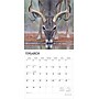 2026 BrownTrout White Tailed Deer 12" x 12" Monthly Wall Calendar (9798330706334)~#|#~7C29AB23-6195-4700-B99BF18EE8DD01A2_sc7