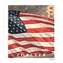 USPS U.S. Flag Forever 100 Postage Stamps (FOREVERFLAG5BK)~#|#~7C2A6604-4048-4E9D-8E5D8AA538B6542D_sc7