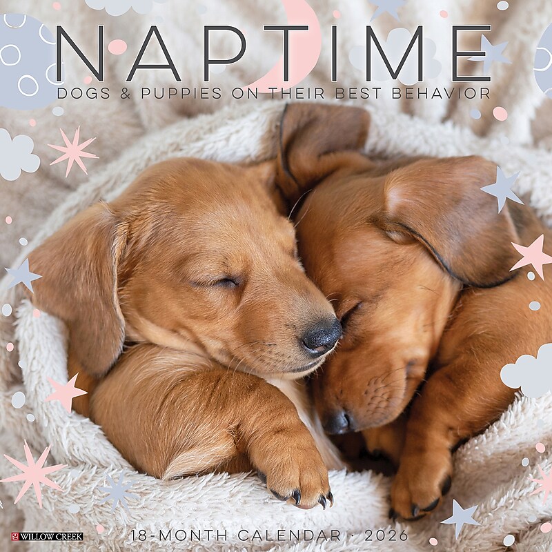 2026 Willow Creek Naptime: Dogs & Puppies on their Best Behavior 12" x 12" Monthly Wall Calendar (52099) image 1