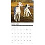 2027 Willow Creek Sporting Dogs 2" x 12" Monthly Wall Calendar, Assorted Colors (62463)~#|#~7C2D5AB8-4FA0-45FA-93248112EA137ED2_sc7