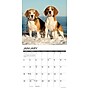 2026 Willow Creek Beagles 12" x 12" Monthly Wall Calendar (50156)~#|#~7C2FE45B-56A7-4D5D-B675B21D494D743B_sc7