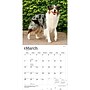 2027 BrownTrout Australian Shepherds 12" x 12" Monthly Wall Calendar (9798330712205)~#|#~7C5D612A-FBB8-4D62-A8A23B1018A7EA24_sc7
