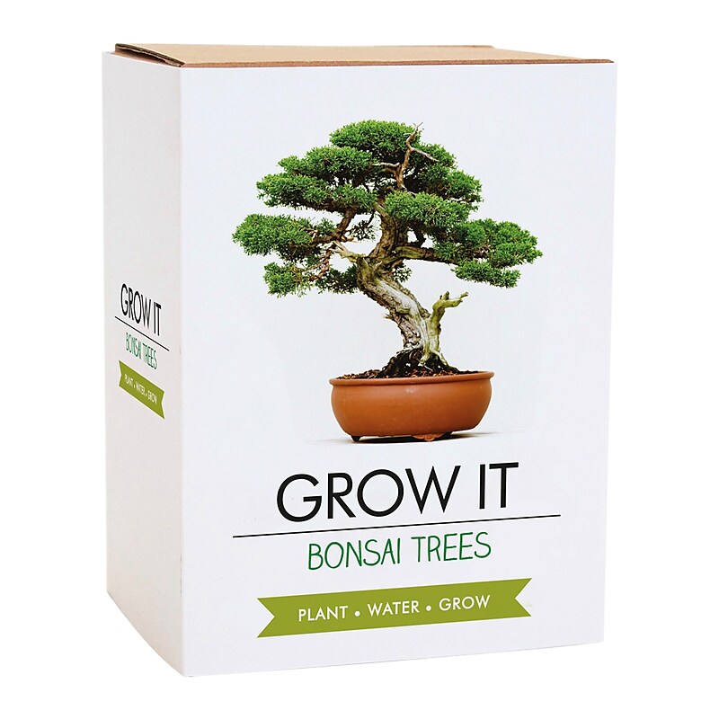 Gift Republic Bonsai Tree Grow Kit (GR200067) image 1