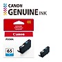 Canon 65 C Cyan Standard Yield Ink Cartridge (4216C002)~#|#~7C8C517B-9630-4D7D-B999EC8E8A5F1361_sc7