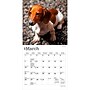 2027 BrownTrout Dachshunds 7" x 7" Monthly Wall Calendar, Assorted Colors (9798330709984)~#|#~7C8F1755-D892-4BF1-8DB8C602C33875EC_sc7