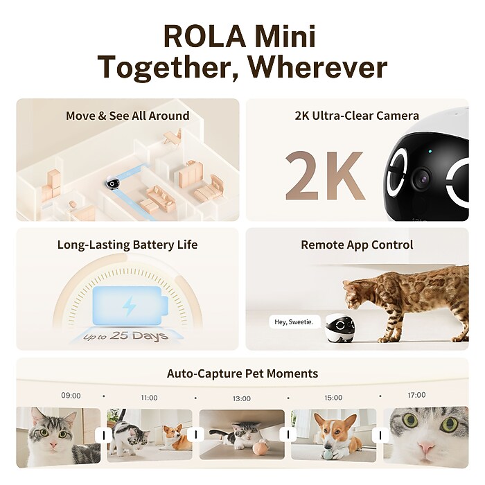 Enabot ROLA Mini Companion Robot, Black (ROLA Mini) | Staples