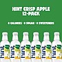 Hint Crisp Apple Flavored Water, 16 oz., 12/Carton (00104)~#|#~7CC77BF9-2559-4BCF-A636AF5B25339FE4_sc7