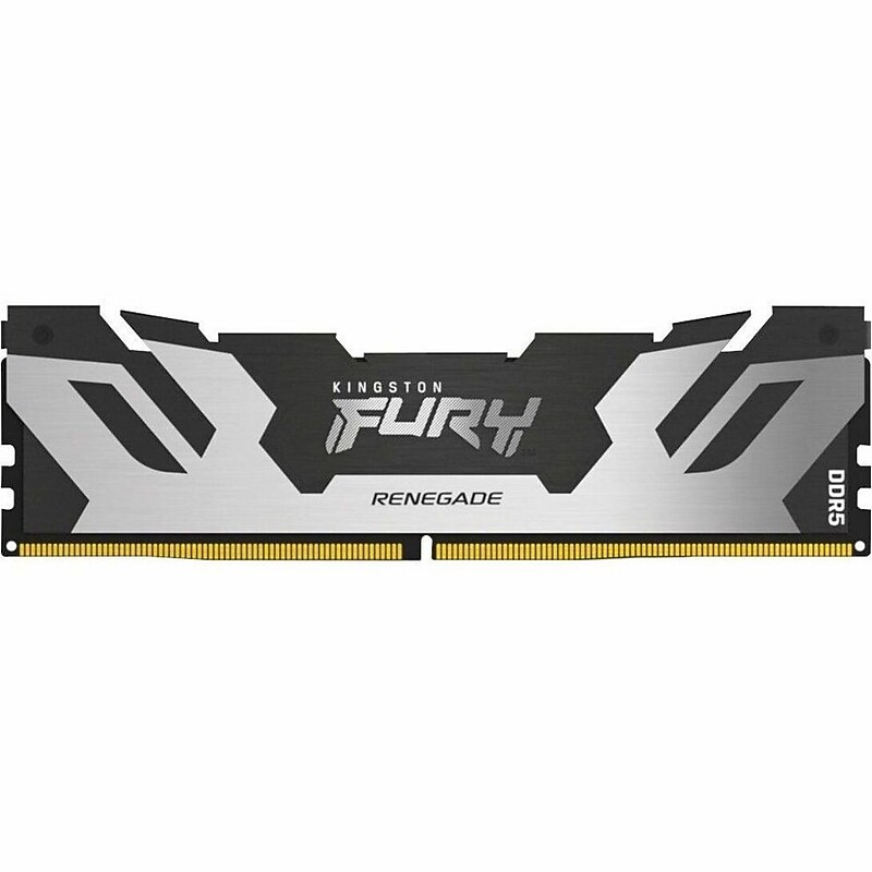 Kingston FURY Renegade 48 GB DDR5 SDRAM Memory (KF560C32RS48) image 1