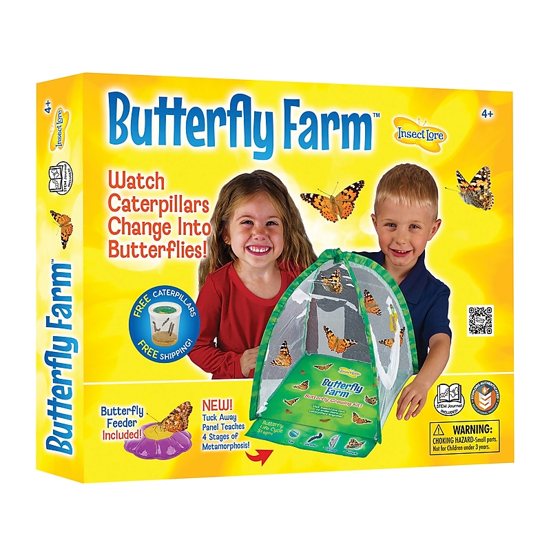 Insect Lore Butterfly Farm Science Manipulative for Students (ILP1015) image 1