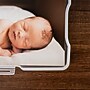 Iris Hinged Storage Bin with Photo Cases, Plastic, Clear, 2/Pack (500050)~#|#~7CE73C86-DF0D-4BE6-AB9D573CB2AAA14C_sc7