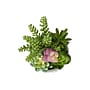 Monarch Specialties Inc. 9" Artificial Succulent Plant in Pot, 2/Set (I 9366)~#|#~7CF31CD4-9342-4B7C-807092B6830E8C69_sc7