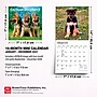 2027 BrownTrout German Shepherd Puppies 7" x 7" Monthly Wall Calendar, Assorted Colors (9798330714780)~#|#~7D0E69EE-7670-40C7-9EDA34D1B79B2716_sc7