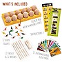JITTERYGIT Dino Eggs Digging Game Kit,12 Dino Eggs Excavation Set (Dino Eggs - Beige)~#|#~7D0E9A49-5C8C-49B6-87AA1DA47DBFA087_sc7