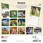 2026 BrownTrout Donkeys 12" x 12" Monthly Wall Calendar (9798330703173)~#|#~7D150B52-8F96-45CA-ACE5D8248090D325_sc7