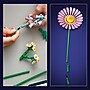 LEGO Botanicals Petite Sunny Bouquet, 373 Pieces  (10347)~#|#~7D290D2D-120D-482D-8996AA366B2379E8_sc7