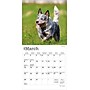 2026 BrownTrout Blue Heelers 7" x 7" Monthly Wall Calendar (9798330702510)~#|#~7D68BC11-88FD-4BBF-8EAEBBAFE52144B8_sc7