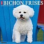 2027 Willow Creek Bichon Frises 12" x 12" Monthly Wall Calendar, Assorted Colors (59197)~#|#~7D6AF32D-18F6-4A9A-AA6E0B5A80F9C9D1_sc7