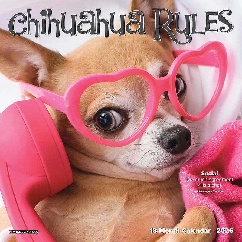 2026 Willow Creek Chihuahua Rules 7" x 7" Monthly Wall Calendar (53508) image 1