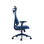 Raynor Group Torque Ergonomic Fabric/Mesh Swivel Manager Chair, Blue (TORQUE-BLU)~#|#~7D8FE714-D282-4789-A90AE6F304986D3D_sc7