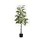 Monarch Specialties Inc. Rubber Tree in Pot (I 9513)~#|#~7D910264-262D-43F2-B881C0577A67D82F_sc7
