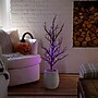 Nearly Natural Pre-Lit Artificial Halloween Black Spooky Twig Tree, 3' (T5234)~#|#~7DBECD0F-0273-4080-BD38F2DE2FEC2C5F_sc7