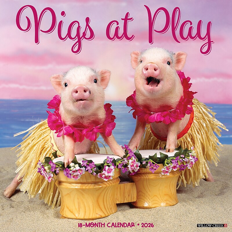 2026 Willow Creek Pigs at Play 12" x 12" Monthly Wall Calendar (52396) image 1
