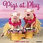 2026 Willow Creek Pigs at Play 12" x 12" Monthly Wall Calendar (52396)~#|#~7DCEC18C-E4EF-417E-ADDA66C931BC2BDA_sc7