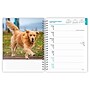 2027 BrownTrout Golden Retrievers 6.5" x 7.8" Calendar Year Weekly Standard Planner, Multicolor (9798330709502)~#|#~7DD0D1CC-6F9F-427A-9A278D653EDBD09C_sc7