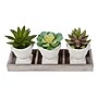 Monarch Specialties Inc. 6" Artificial Succulent Plants, 3/Set (I 9373)~#|#~7E03188E-C1F3-4FEA-9D45F77CEBCB32A9_sc7