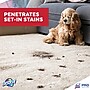 Professional Resolve Spot & Stain Carpet Cleaner, 32 Oz. (36241-97402)~#|#~7E08FE6E-84AD-474A-9A28EC32F63E9A67_sc7