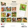 2026 BrownTrout Vizslas 12" x 12" Monthly Wall Calendar (9798330706167)~#|#~7E1B4DF6-2060-4B6A-8BC5082ABFEBC630_sc7