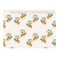 Blue Sky 7-Tab Plastic Accordion File, Legal Size, Mini Oranges