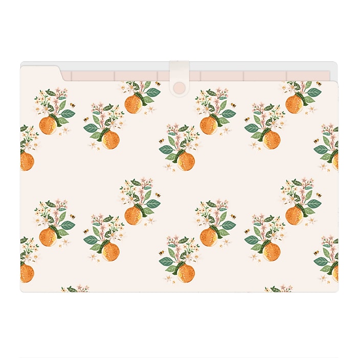 Blue Sky 7-Tab Plastic Accordion File, Legal Size, Mini Oranges