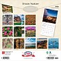 2026 BrownTrout Texas Nature 12" x 12" Monthly Wall Calendar (9798330705801)~#|#~7E2238EC-7DCC-4DB1-A99535020EBEABA7_sc7