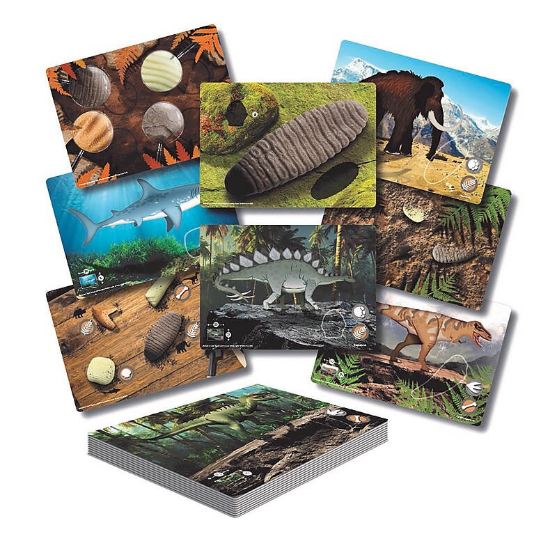 Yellow Door Prehistoric Teeth Explore and Discover Activity Cards, 16/Set (YUS1203) image 1
