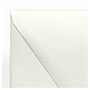 LUX A2 Contour Flap Envelopes, 250/Box, Quartz Metallic (1870-08-250)~#|#~7E2FDBFF-930E-4001-94866E10D8733C4C_sc7