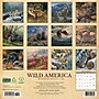 2026 Willow Creek Wild America 12" x 12" Monthly Wall Calendar (53270)~#|#~7E3ECF2A-6C14-43A8-A76701DEAAB06D9C_sc7