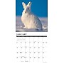 2026 Willow Creek Wildlife 12" x 12" Monthly Wall Calendar (53300)~#|#~7E58AE09-35F8-486C-9C7F96B18459493A_sc7