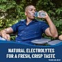 Ice Mountain 100% Natural Spring Water, 33.8 oz., 15 Bottles/Carton (11475325)~#|#~7E5F32FA-1B60-4D0B-8D156471B94F7FA2_sc7