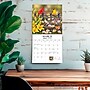 2026 BrownTrout Feathered Friends 12" x 12" Monthly Wall Calendar (9781773728780)~#|#~7E6A29C6-97C3-4F24-A52D6EF67E780793_sc7