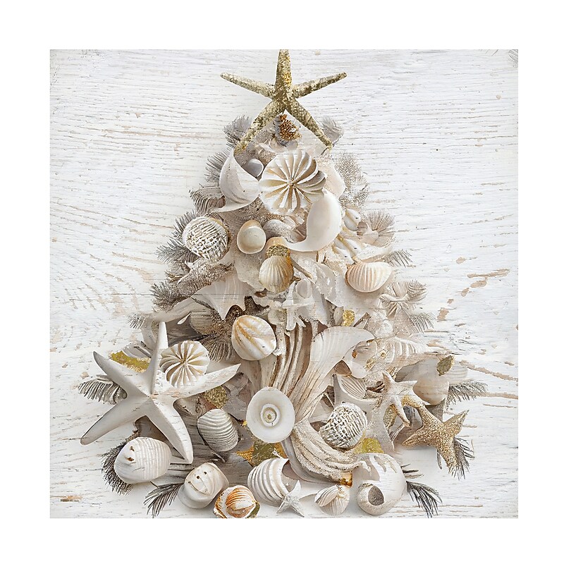 Trademark Fine Art Sasha Seaside Christmas I Canvas Art, 24" x 24" (ALI67654-C2424G) image 1