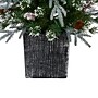 Nearly Natural Frosted Artificial Christmas Tree Pre-Lit, 4' (T3037)~#|#~7E872B7E-3410-4001-AB8E3E5177AD9BB9_sc7