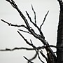 Nearly Natural 4' Pre-Lit Halloween Black Twig Artificial Fall Tree with 240 Orange and Purple LED Lights (T4760)~#|#~7E929425-AF88-415D-8D214DCEF102967E_sc7